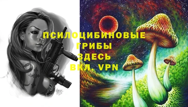 альфа пвп Ладушкин