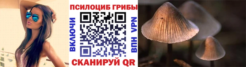 Галлюциногенные грибы GOLDEN TEACHER  Купить закладки  Межгорье 